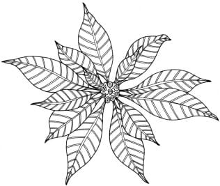 Blume - 4104 K