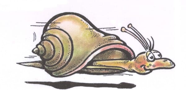Perma Stempel Holzstempel - Schnecke rasend