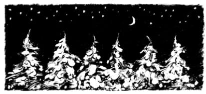 Tannenbäume - 3726 K