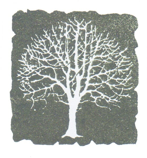 Perma Stempel Holzstempel - Baum (Design 2)