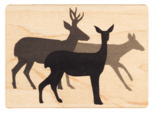 Rentier und Rehe - 3882 K