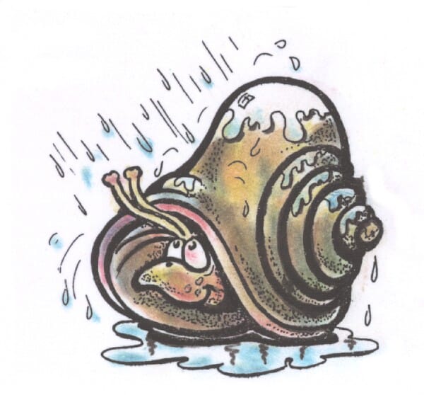 Perma Stempel Holzstempel - Schnecke im Regen
